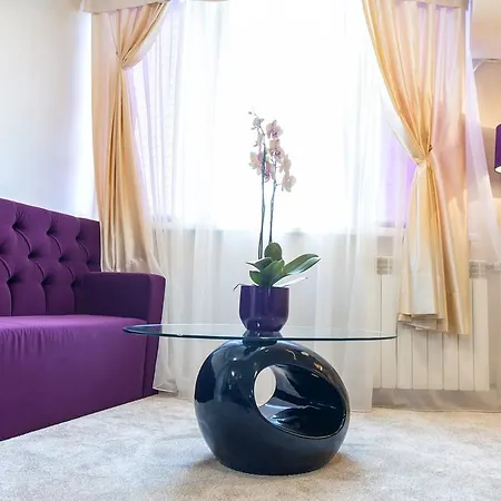 Purple Raindrops Studio * 부쿠레슈티